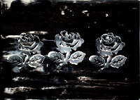 3 Roses - Michael Schmidt Stuttgart