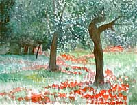 Garten, Toskana / Garden, Tuscany