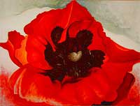 Hommage à Georgia O'Keeffe
