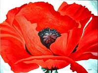 Hommage à Georgia O'Keeffe