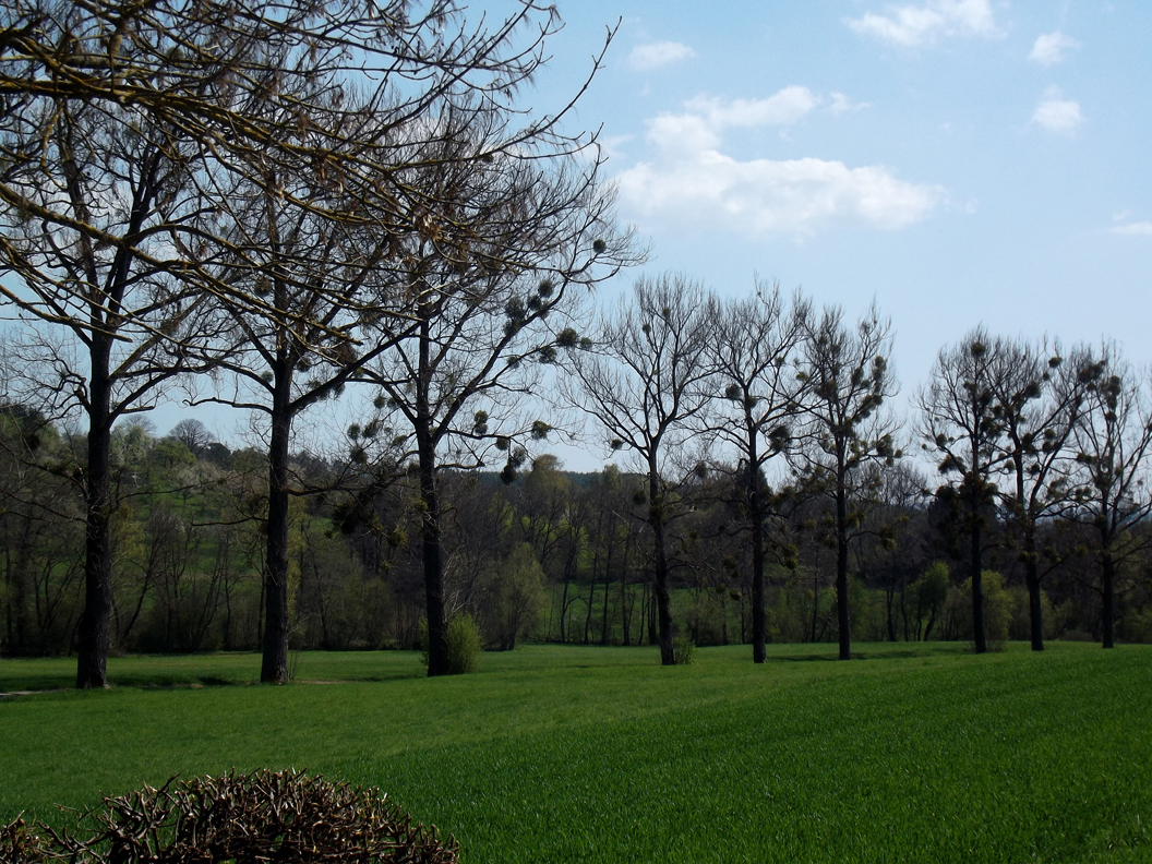 heike_schmidt_fruehling_20190419_02