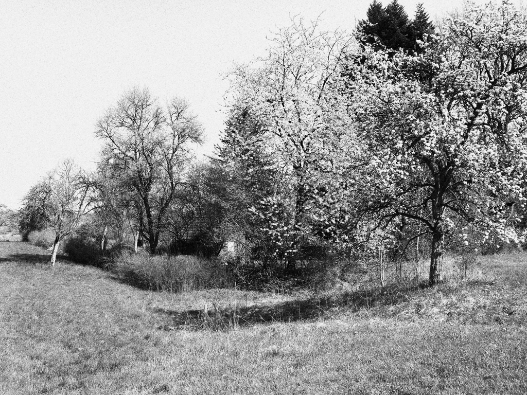 michael_schmidt_fruehling_20190419_06