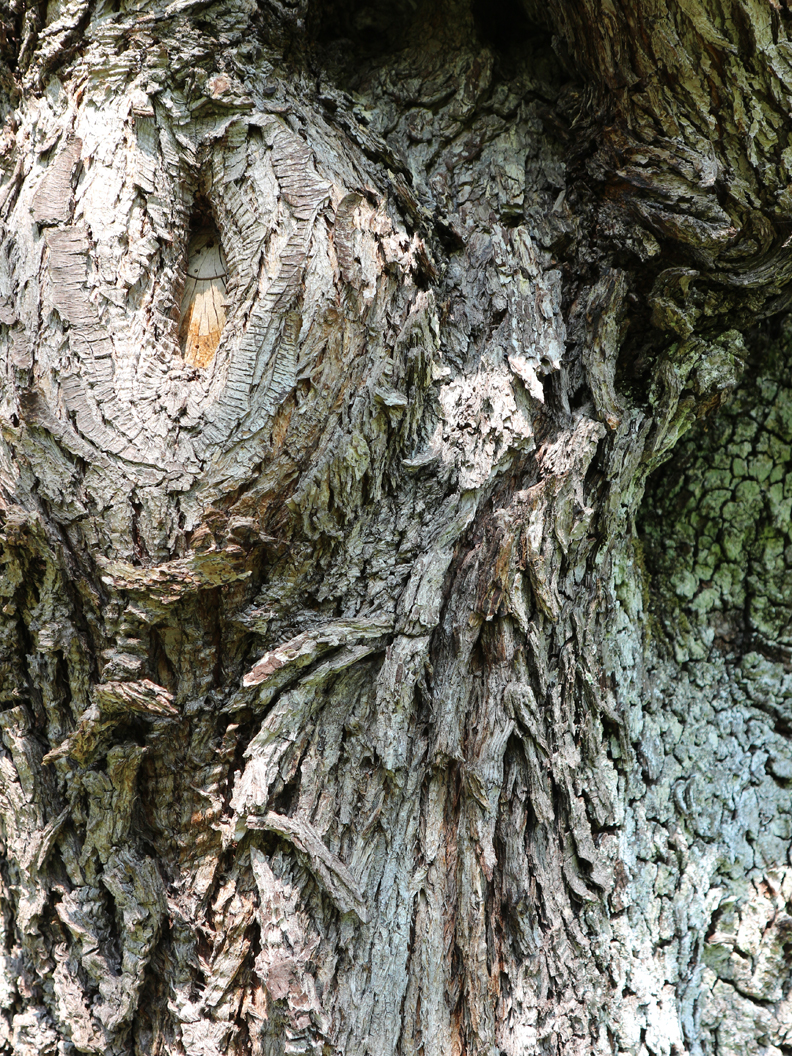 michael_schmidt_fruehling_20190419_08