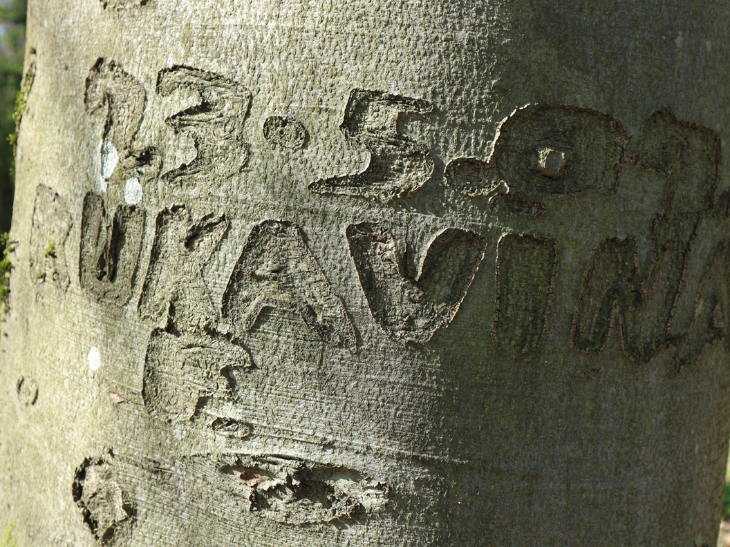 michael_schmidt_fruehling_20190419_10