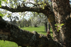 michael_schmidt_fruehling_20190419_01