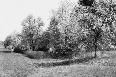 michael_schmidt_fruehling_20190419_06