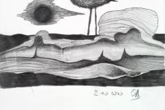 michael_schmidt_sonnenvogel_20230705